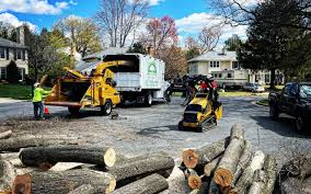 Best Pest Control for Lawns  in Pitcairn, PA