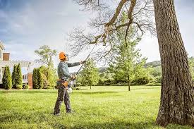 Reliable Pitcairn, PA Tree Care Solutions